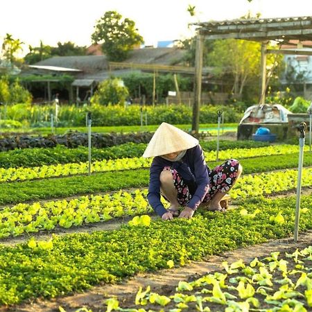 شقة Hoi An Cabbage Garden المظهر الخارجي الصورة