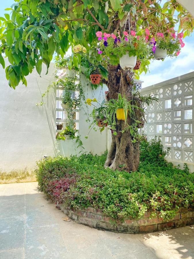 شقة Hoi An Cabbage Garden المظهر الخارجي الصورة
